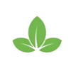 Fresh food icon