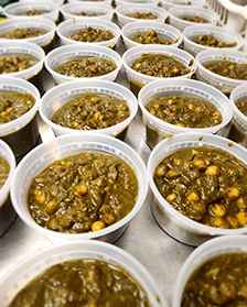 Indias Flavour Weekly Tiffin Services in Downtown Toronto